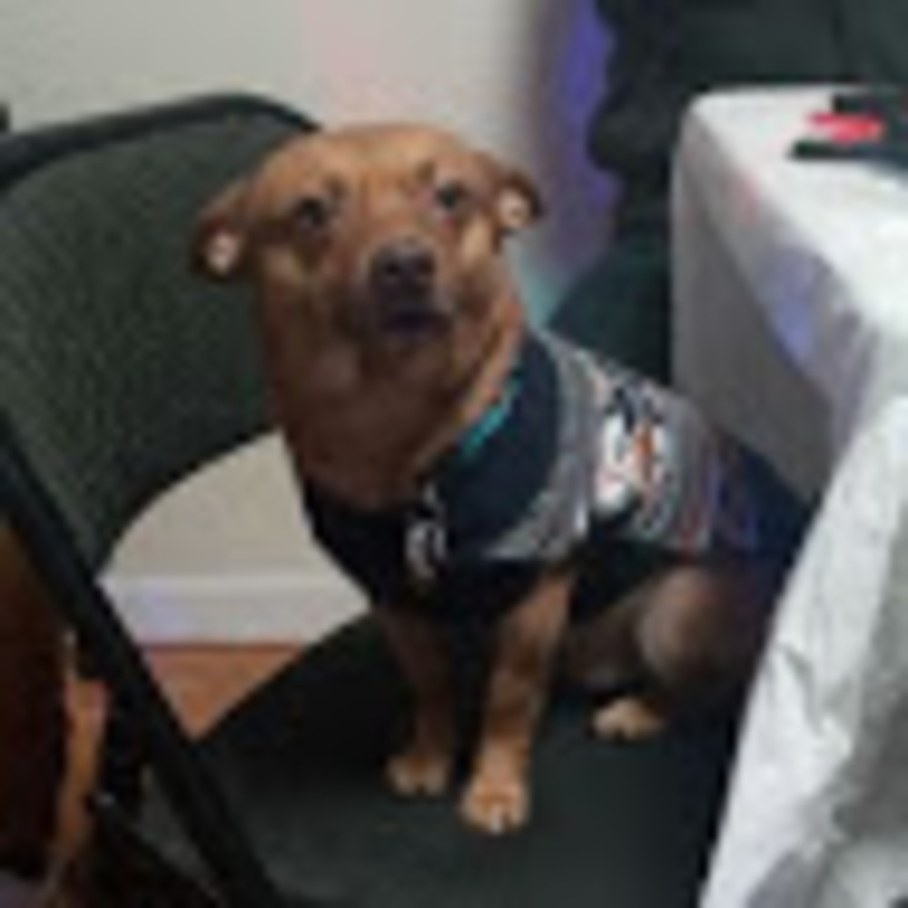 Meet your Posher, Katherine